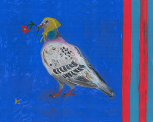 Pigeon
